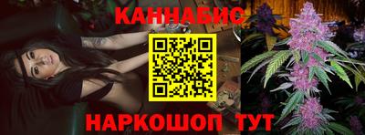 мдпв Партизанск