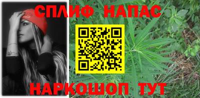 мдпв Партизанск