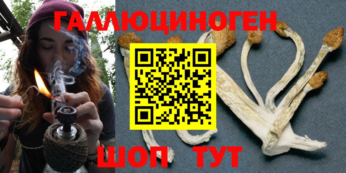 Галлюциногенные грибы прущие грибы  Галлюциногенные грибы мухоморы  Искитим  Вход с VPN 